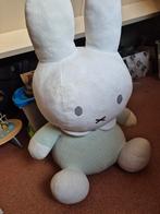 Gratis Babyspullen: Nijntje, Verschoonkussen, Nestje, Ophalen, Gebruikt, Konijn