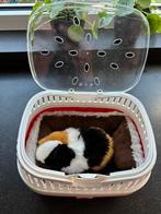 Ferplast pet carrier reismand knaagdier, Ophalen, Zo goed als nieuw, Transportkoffer of -box