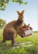 Kr3271 ansichtkaart groeten van de floriade venlo 2012, Ophalen of Verzenden, Ongelopen