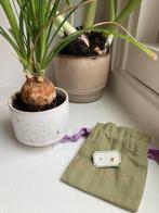 Anna + Nina Lonely Star oor knopje, Nieuw, Ophalen of Verzenden, Knopjes of Stekers, Goud