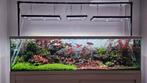 aquarium 200x60x55, Dieren en Toebehoren, Vissen | Aquaria en Toebehoren, Ophalen, Gebruikt, Leeg aquarium