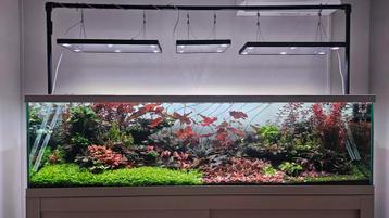 aquarium 200x60x55 beschikbaar voor biedingen