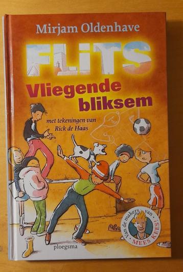 Mirjam Oldenhave - Flits Vliegend bliksem beschikbaar voor biedingen