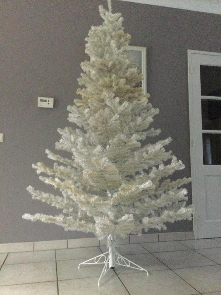 Kerstboom, Diversen, Kerst, Ophalen