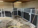 Voorwand Mini | Ponywand | Stalwand | Box | 24, Weidegang, 4 paarden of pony's of meer