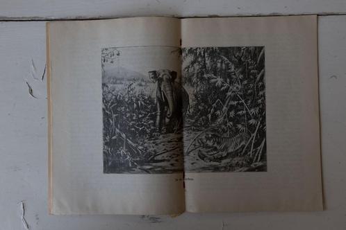 Schoolplaat boekje – In de Rimboe ., Antiek en Kunst, Antiek | Schoolplaten, Natuur en Biologie, Ophalen of Verzenden
