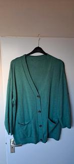 Dameskleding maat  50 /52, Kleding | Dames, Grote Maten, Ophalen, Overige typen, Overige kleuren, Onbekend