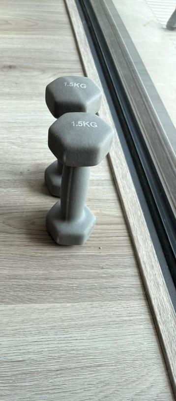 dumbbells van 1,5 kg. beschikbaar voor biedingen