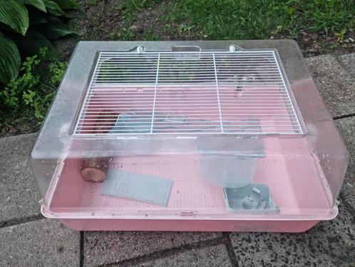 Hamster - muizen verblijf roze 55m x 27.5 h x 38.5b kooi, Dieren en Toebehoren, Knaagdieren en Konijnen | Hokken en Kooien, Gebruikt