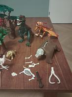 playmobil dinosaurus en prehistorie, Ophalen, Zo goed als nieuw, Complete set