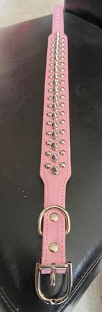 Roze Hondenriem nieuw, Ophalen