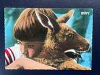 ansichtkaart / kaart van Skippy 6., Verzenden, 1960 tot 1980, Sterren en Beroemdheden