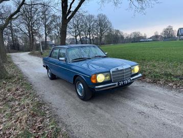 Mercedes-Benz 200-280 (W123) 250 6 cilinder / LPG / 1976 beschikbaar voor biedingen