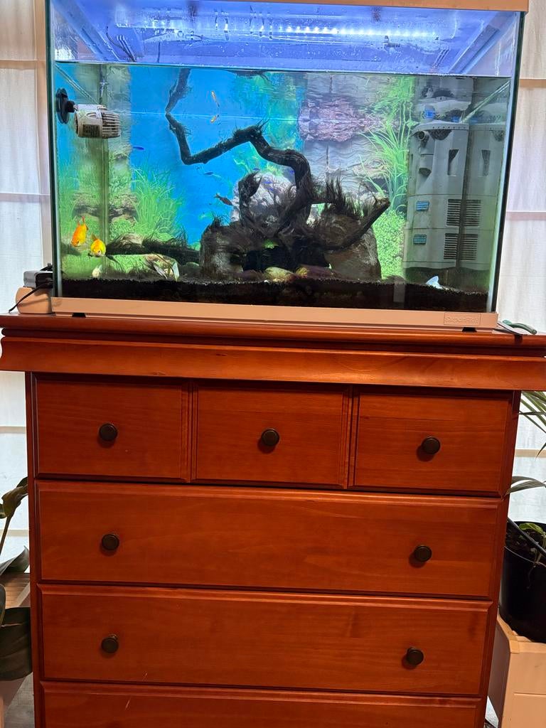 Fish dank with all utilities, Ophalen of Verzenden