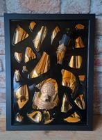 Armand de brignac fles verwerkt in een lijst met Epoxy, Minder dan 50 cm, Nieuw, Ophalen of Verzenden, Minder dan 50 cm