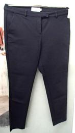 ELVIRA BROEK  MT 38, Ophalen of Verzenden, Nieuw, Maat 38/40 (M), Blauw