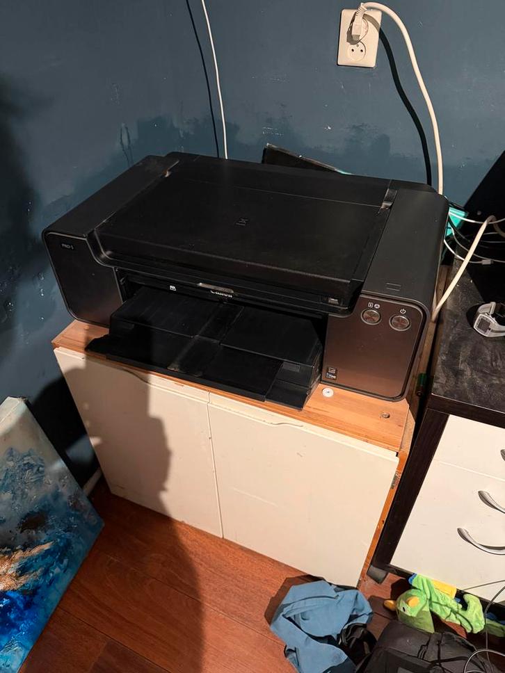 Canon PIXMA PRO-1 Professionele Fotoprinter, Computers en Software, Printers, Gebruikt, Fotoprinter, Inkjetprinter, Kleur printen