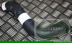 Onderste radiateurslang - radiateur naar waterpomp  Jaguar D, Auto-onderdelen, Ophalen of Verzenden, Nieuw, Jaguar