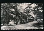 Voorst - Rustbank Elkenbij [KRST009-2166, Verzamelen, Ansichtkaarten | Nederland, Verzenden, 1940 tot 1960, Gelopen, Gelderland