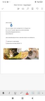 VERMIST nala omgeving steyl, Dieren en Toebehoren, Vermiste en Gevonden Dieren, Kat