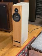 LexiCone Acoustics Syntagma A2, Audio, Tv en Foto, Luidsprekers, Ophalen, Gebruikt, Front, Rear of Stereo speakers, Overige merken