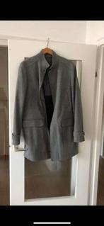 Mooie grijze jas van Zara !!! Bieden., Ophalen of Verzenden, Nieuw, Grijs