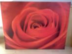 Canvas Foto Rode Roos 120x90cm, Ophalen, Zo goed als nieuw, 100 tot 125 cm, Foto of Poster