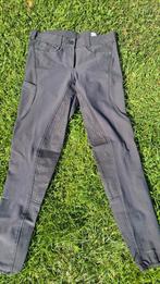 Pikeur rijbroek maat 36, Ophalen of Verzenden, Zo goed als nieuw, Dressuur, Onderkleding