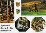 Apeldoorn apenheul berg en bos gelopen ansichtkaart ( a119, Ophalen of Verzenden, 1980 tot heden, Gelopen, Gelderland