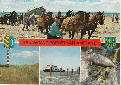AMELAND Reddingsboot met Paarden Veerboot Zeehond Vuurtoren, Verzamelen, Ansichtkaarten | Nederland, Gelopen, Waddeneilanden, 1960 tot 1980