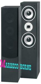 Speakerset, Luidspreker set, Tower, 2x 6,5 inch Zwart, Audio, Tv en Foto, Luidsprekers, Overige merken, Nieuw, Fenton, Info@marbeco.nl