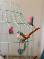 Mintgroene Vogelkooi Lamp Dutch Delight - Maat M, Ophalen of Verzenden, Zo goed als nieuw, Metaal, Minder dan 50 cm