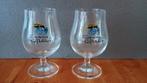 Tropicus Gifkikker bierglas, Ophalen of Verzenden, Zo goed als nieuw, Glas of Glazen, Overige merken