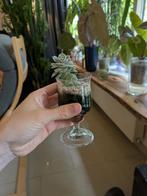 Echeveria Imbricata Blue in Glas - Succulent, Ophalen of Verzenden