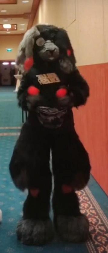 Furry konijn fursuit 3/4 partial (lees beschrijving) beschikbaar voor biedingen