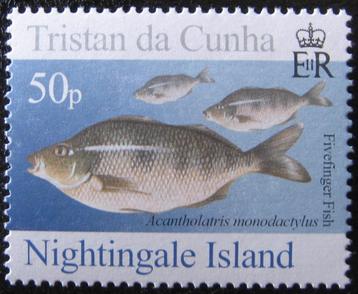 TRISTAN DA CUNHA 37 - Dieren: vissen (vingervis) beschikbaar voor biedingen