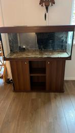 Aquarium, Dieren en Toebehoren, Vissen | Aquaria en Toebehoren, Ophalen, Gebruikt, Leeg aquarium