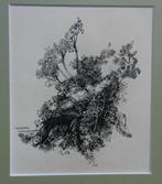 O. inkt tekening Fluitekruid Willem vd Berg 1963 (1886-1970), Antiek en Kunst, Ophalen of Verzenden