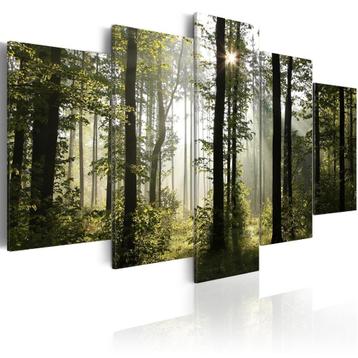 164 Bos Bomen Natuur 5 Luik Canvas Schilderij 200x100 Nieuw beschikbaar voor biedingen