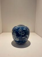Antieke Chinese Kangxi Gemberpot - Prunus Decor, Antiek en Kunst, Antiek | Vazen, Ophalen