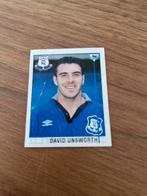 Merlin' Collection 1995 Premier League  David Unsworth, Zo goed als nieuw, Verzenden