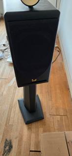 Jean Marie Reynaud Luidsprekers met Stands, Ophalen, Gebruikt, Front, Rear of Stereo speakers, Overige merken