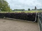 Lichtmast, lantaarnpaal 6 meter, Tuin en Terras, Buitenverlichting, Ophalen, Gebruikt, Staande lamp, 250 watt of meer