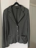 Purdey gestreept jasje, blauw/lichtgrijs maat XL, Maat 42/44 (L), Purdey, Jasje, Gedragen