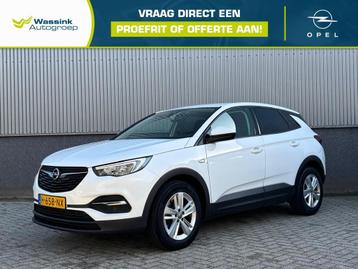 Opel Grandland X 1.2 Turbo 130pk Business Edition | Navigati beschikbaar voor biedingen