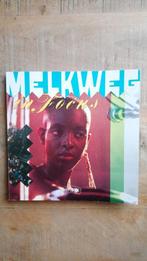 Melkweg in focus - softcover 1986, Boeken, Cor Schlosser, Fotografie algemeen, Ophalen of Verzenden, Zo goed als nieuw