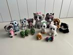 Collectie ty beanie boo - 15 stuks verschillende maten, Ophalen of Verzenden, Zo goed als nieuw, Overige typen