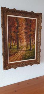 Mooi bos in herfstkleuren. Afmeting 50x70. Met lijst 70x85, Antiek en Kunst, Ophalen