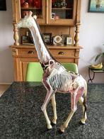 4D master, leren, giraffe, anatomy, Ophalen