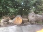 Eiken Openhaardhout, Tuin en Terras, Haardhout, Ophalen